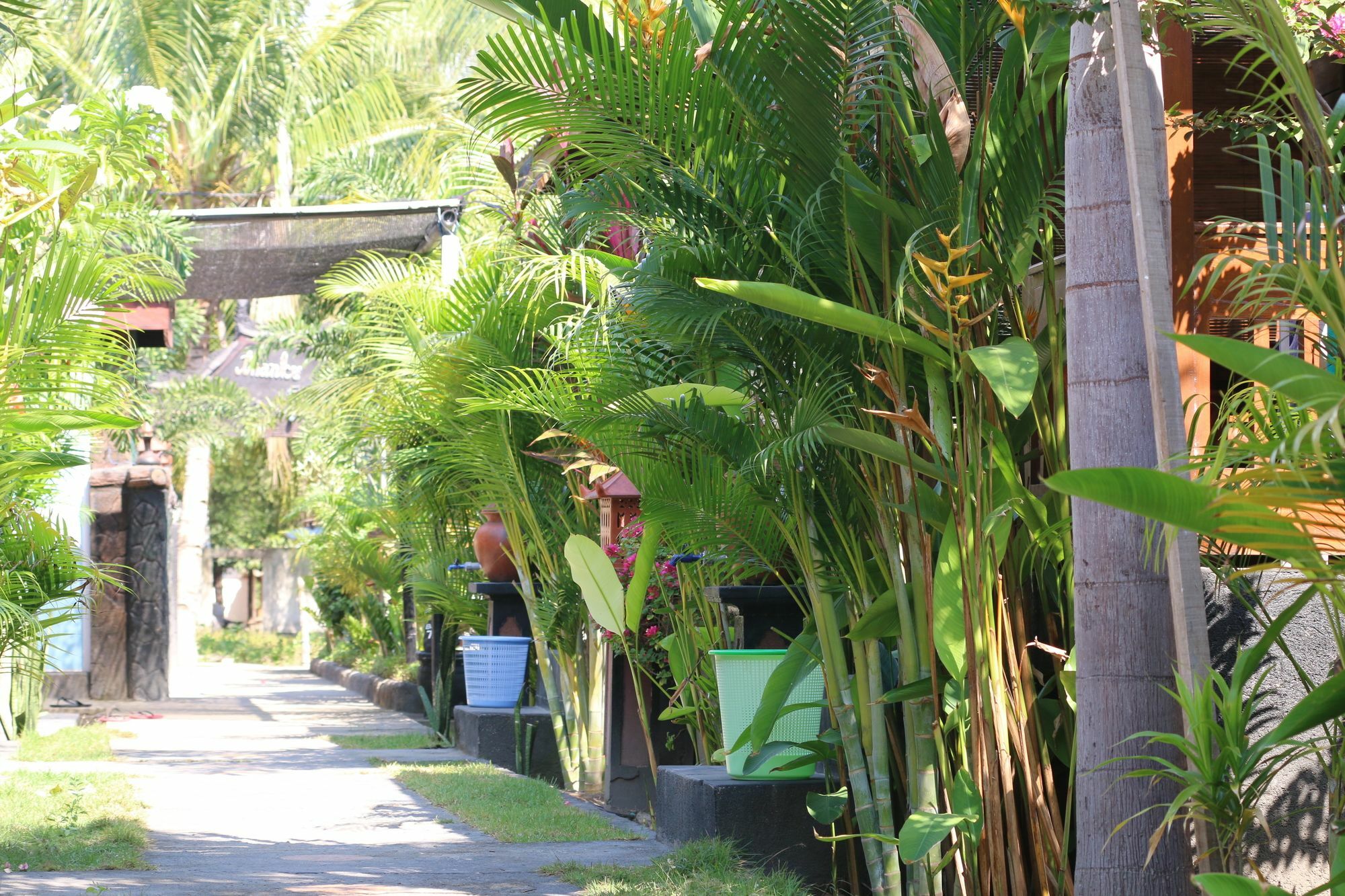 Color Cottage Gili Air Eksteriør bilde